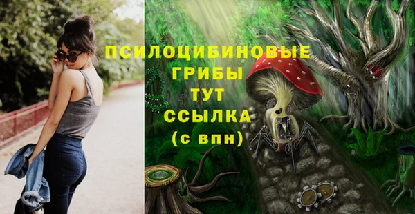ECSTASY Горно-Алтайск