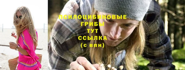 ECSTASY Горно-Алтайск
