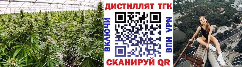 ТГК вейп Купить закладки Петушки